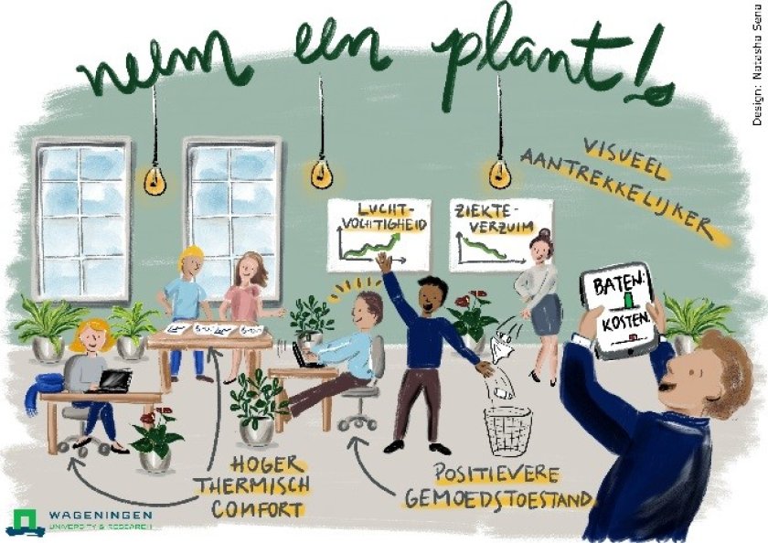 planten voor een beter binnenklimaat planten voor een beter binnenklimaat
