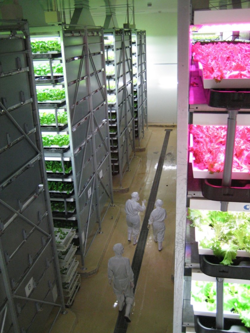 Verticale landbouw Verticale landbouw